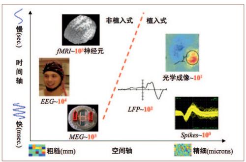 图3　常见脑信号的时间-空间分辨率对比